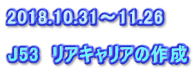 2018.10.31～11.26  J53　リアキャリアの作成